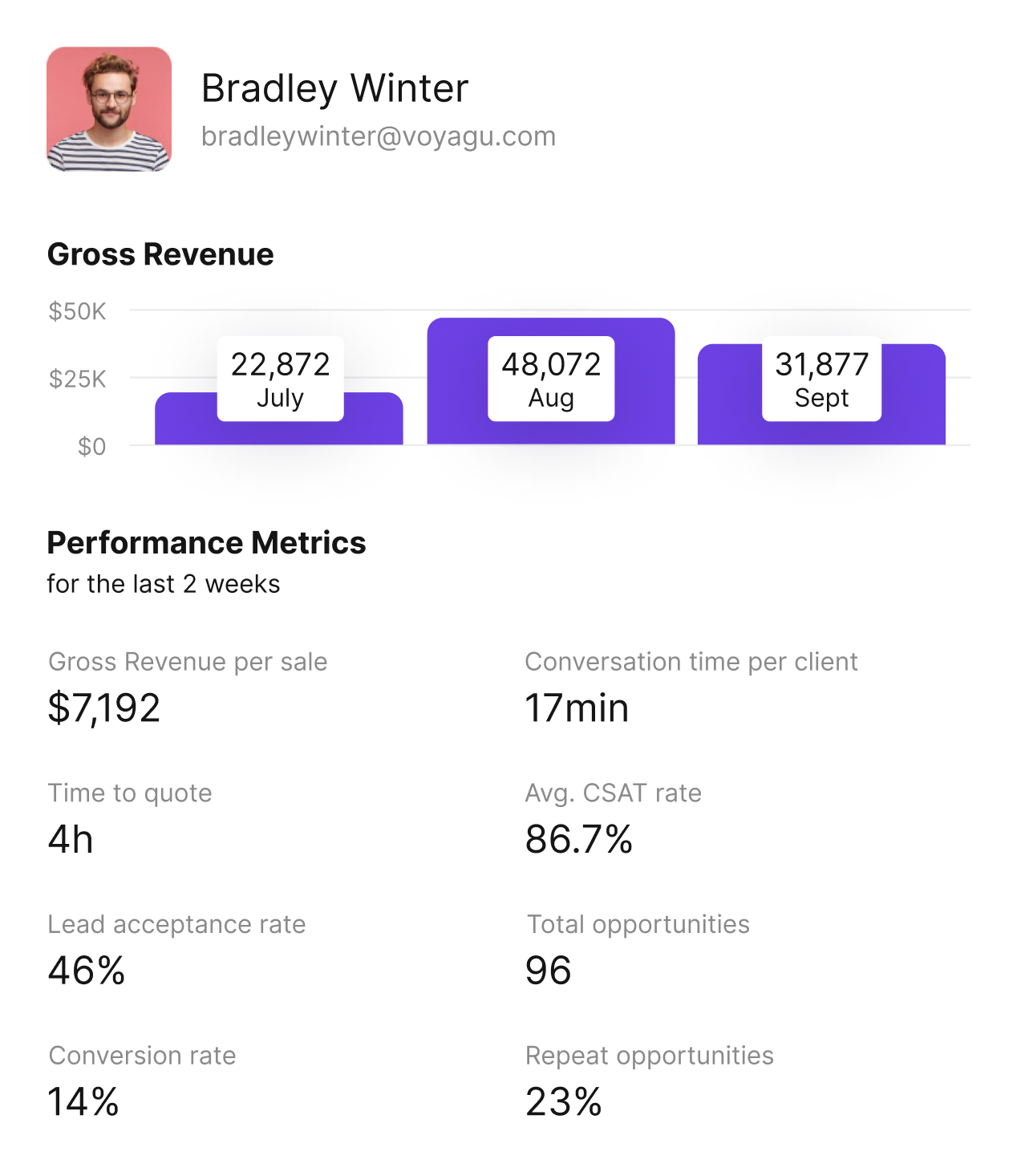 Voyagu Advisors Analytics